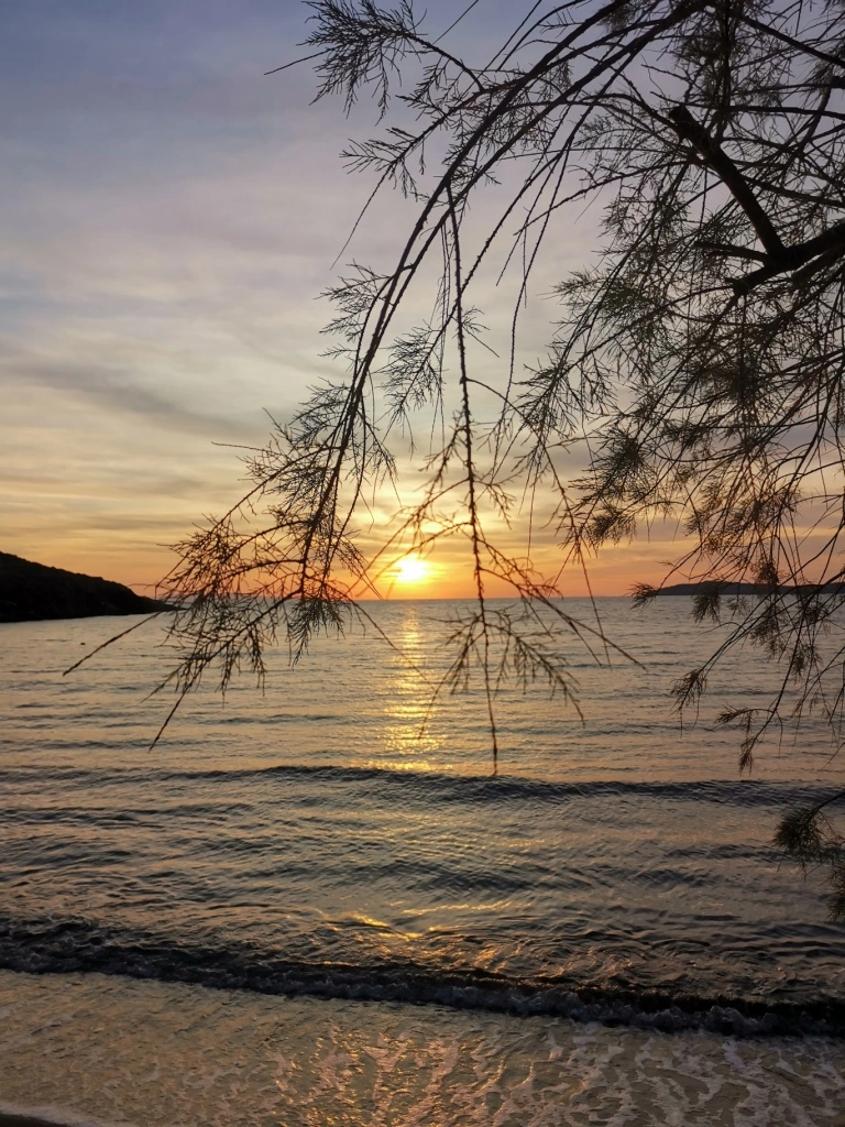 Services - Lemon & Stone Hostel Andros