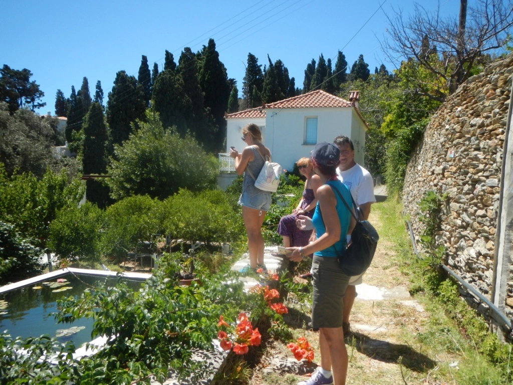 Home - Lemon & Stone Hostel Andros